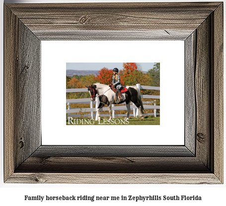 family horseback riding near me in Zephyrhills South, Florida